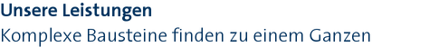 Unsere Leistungen|Komplexe Bausteine finden zu einem Ganzen Unsere Leistungen|Komplexe Bausteine finden zu einem Ganzen